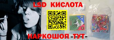 эйфоретик Малгобек